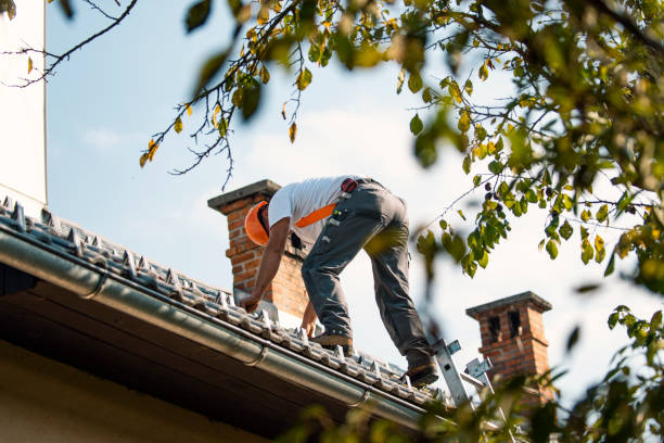 Best Metal Roofing Contractor  in Stanwood, WA